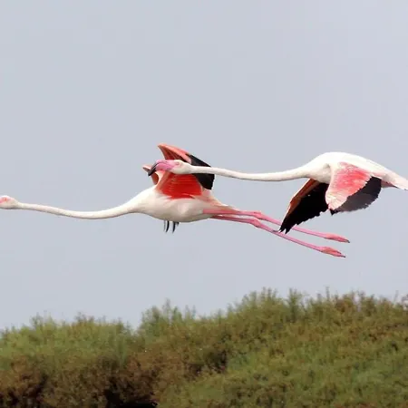 El Remanso Iv Apartment *