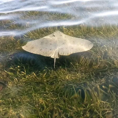 El Remanso Iv Apartment