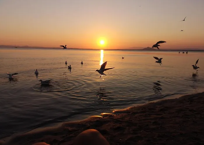 Lejlighed El Remanso Iv