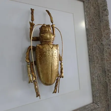 El Remanso Iv