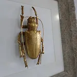 El Remanso Iv