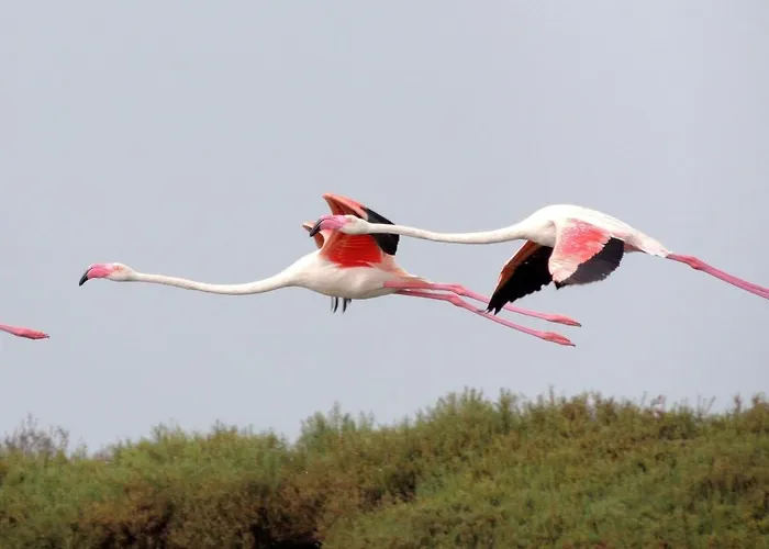 El Remanso Iv Apartman *